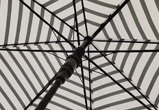 23 polegadas 8 costelas de fibra de vidro Auto Open Stick guarda-chuva com J forma de borracha revestida manobra de plástico