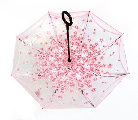 Um guarda-chuva transparente com padrão aberto automaticamente