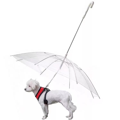 Um guarda-chuva transparente para os cães, para que não se molhem
