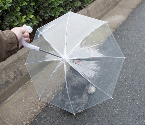 Um guarda-chuva transparente para os cães, para que não se molhem