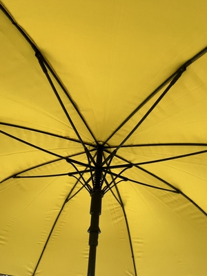 Auto-abrir fechar guarda-chuva Fibra de vidro para competição