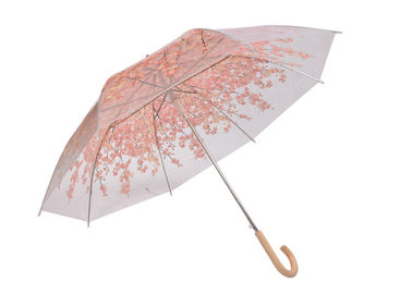 Guarda-chuva transparente do rosa elegante das senhoras, grande guarda-chuva claro da abóbada