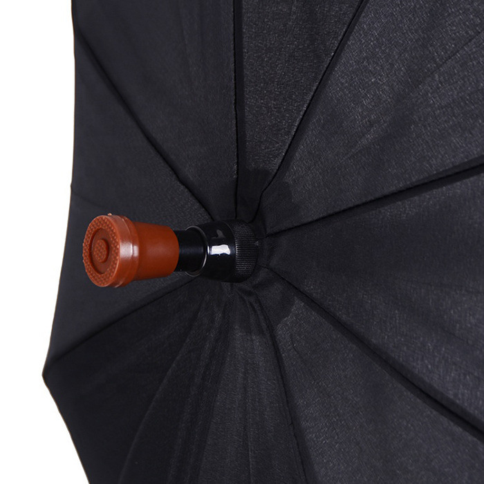 Auto Open Stick Umbrella with Metal Shaft Fiberglass Frame and Wind Resistant Design